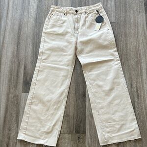 Amuse society Beige Denim size 26